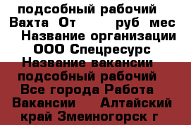 подсобный рабочий . Вахта. От 30 000 руб./мес. › Название организации ­ ООО Спецресурс › Название вакансии ­ подсобный рабочий - Все города Работа » Вакансии   . Алтайский край,Змеиногорск г.